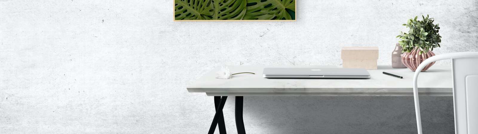 Rechteckiges Grünes Schweizer Käseblatt Pflanzenfoto An Der Wand Montiert